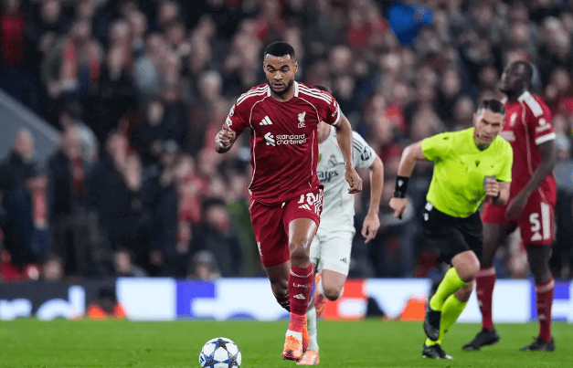 社区盾赛前再迎强敌,本菲卡再遭质疑,主帅态度——信心回归,身体对抗强度拉满的简单介绍 社区盾赛前再迎强敌,本菲卡再遭质疑,主帅态度——信心回归,身体对抗强度拉满的简单介绍