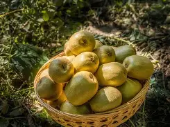 氐赗乇爻賰爻hd